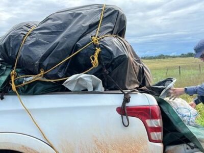 Ex-vereador preso com carga de grude de peixe de R$ 1 mi