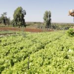 IPP sobe 2,37% em março, após queda de 0,16% em fevereiro