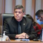 Protetores Mirins: crianças aprendem a cuidar de animais