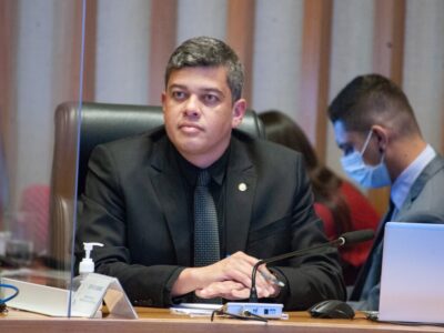 Protetores Mirins: crianças aprendem a cuidar de animais