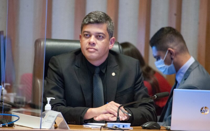 Protetores Mirins: crianças aprendem a cuidar de animais