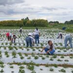 Mulheres do Campo: mais 100 certificadas em Brazlândia