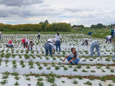 Mulheres do Campo: mais 100 certificadas em Brazlândia